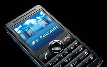 Funkfernsteuerung GSM 300 RS 868